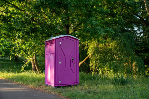 Porta potty rental for festivals in Hayfield, MN